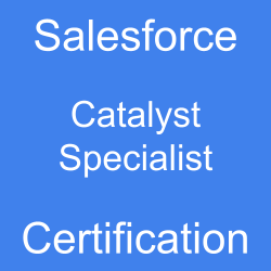 The image contains the text "Salesforce Catalyst Specialist Certification" on a blue background.